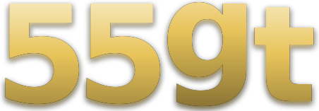 55gt logo